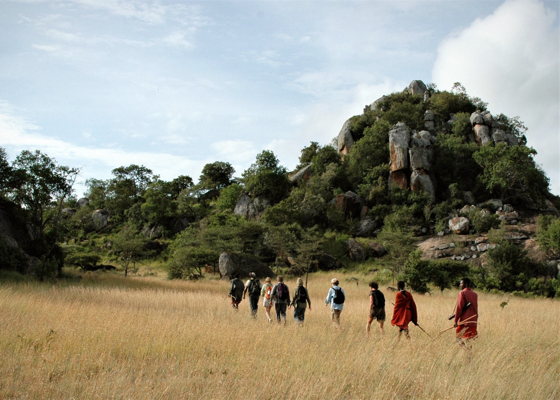 Maasai guides leading a walking safari across the steppe toward a granite kopje