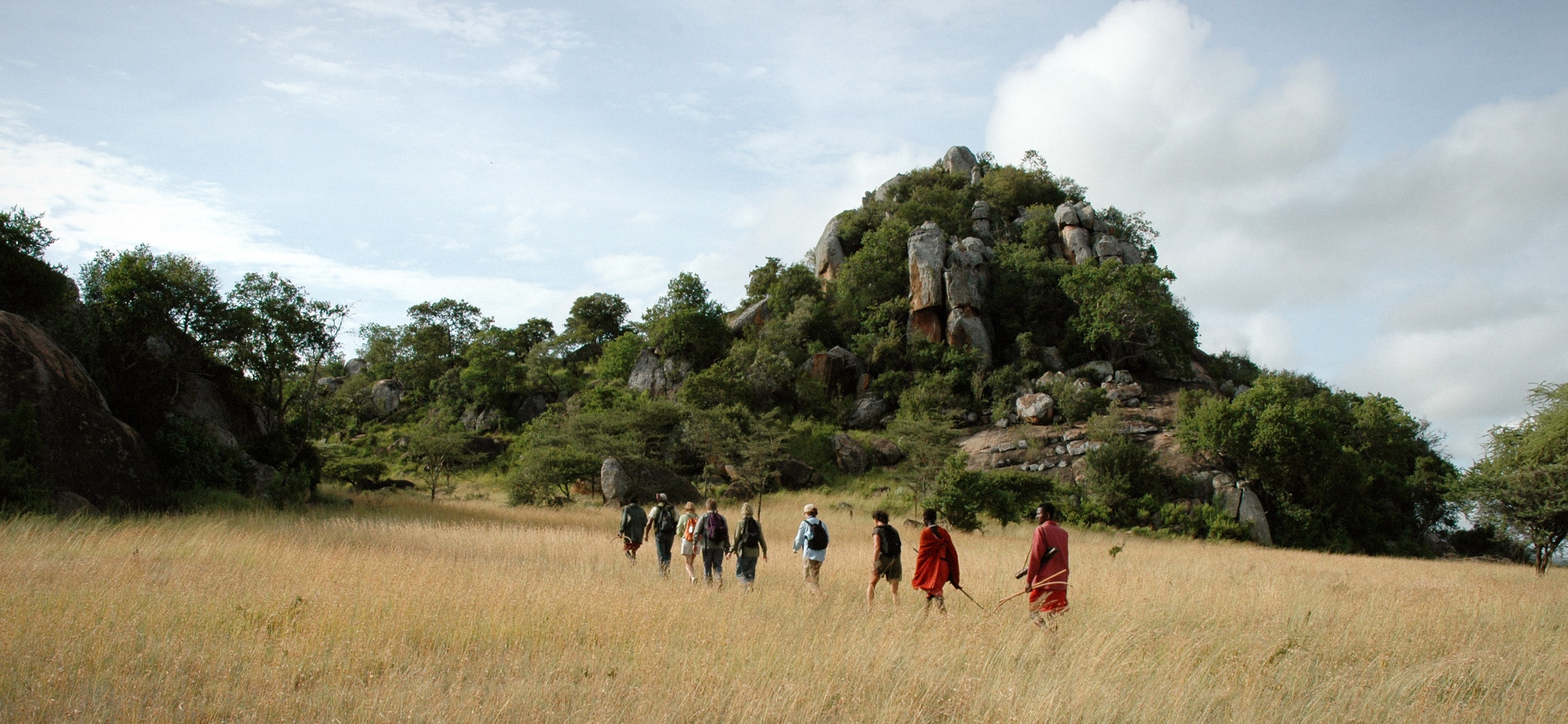 Guests and Maasai guides walking toward a granite kopje on the Maasai Steppe