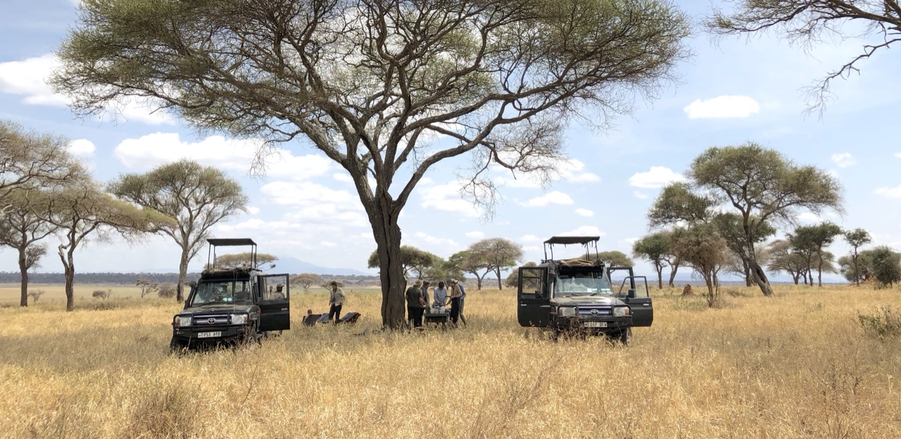 Dorobo Safaris guides in the field